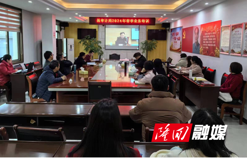 隆回县审计局开展春季业务培训(图1)