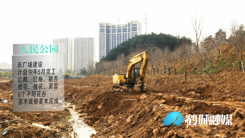 鹤城区：“热辣滚烫”干劲足.mp4_20240222_170201.187.jpg