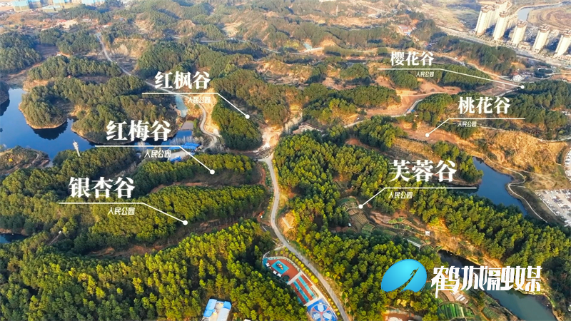 鹤城区：“热辣滚烫”干劲足.mp4_20240222_170214.066.jpg