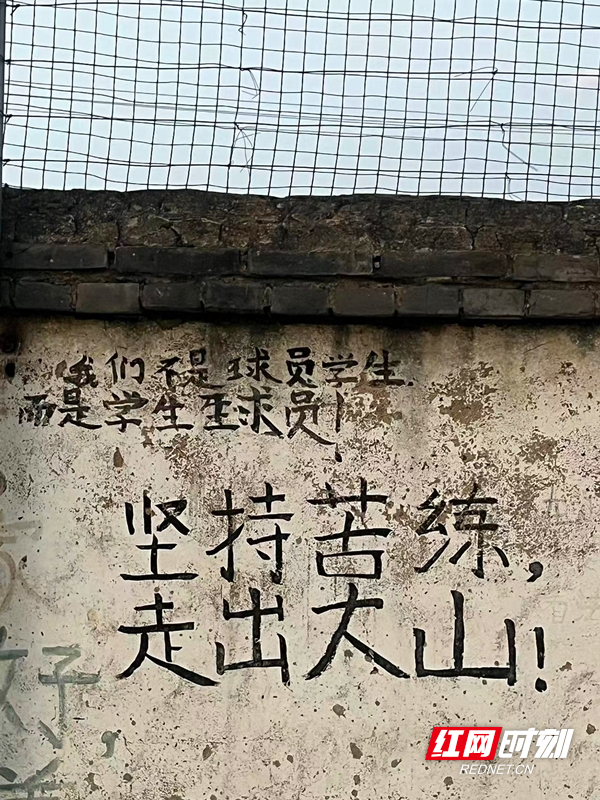 图片 8_副本.jpg