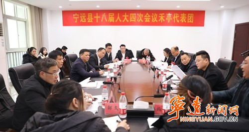 【聚焦两会】宁远：杨康参加舜陵代表团、禾亭代表团分组讨论_副本500.jpg