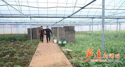宁远：种粮政策好 农户备耕忙2_副本500.jpg