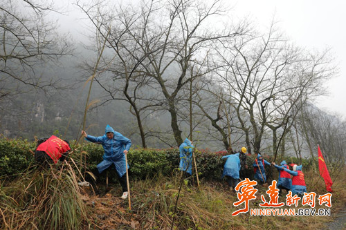 “植”此青绿 不负青山 宁远部门开展义务植树活动_副本500.jpg