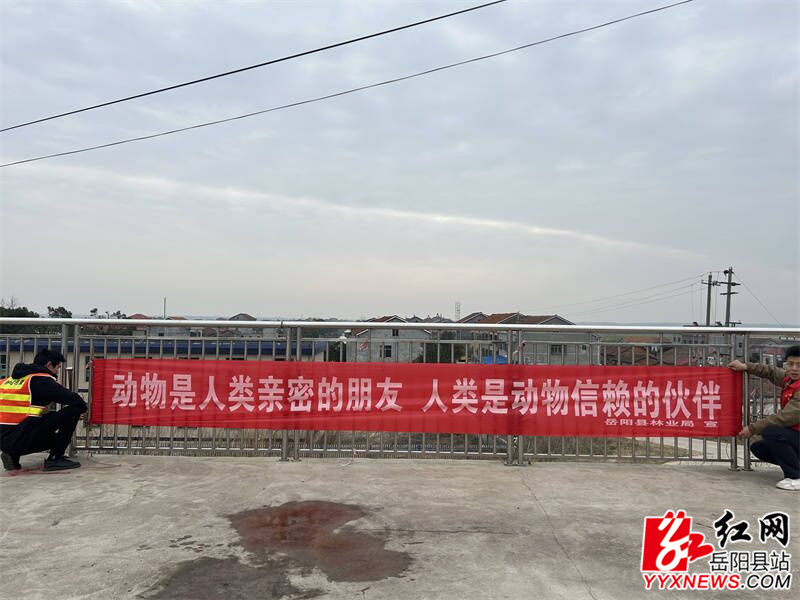 6031B0B82965AD56CA56AA31AA7B4A4A_750_750.jpg 6031B0B82965AD56CA56AA31AA7B4A4A_750_750.jpg