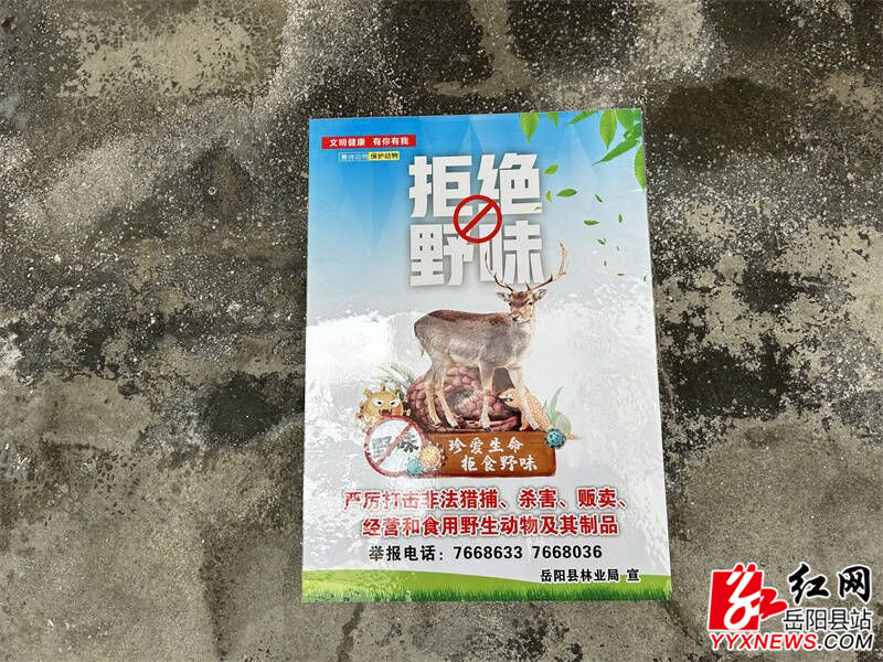 6CFA76F38C45AA6B332266A6D3FDFDA8_750_750.jpg 6CFA76F38C45AA6B332266A6D3FDFDA8_750_750.jpg