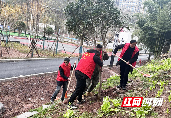 沅陵县积极开展学雷锋系列志愿活动