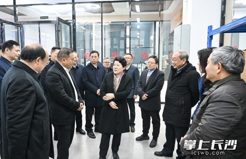 吴桂英在湖南金阳烯碳新材料股份有限公司调研。