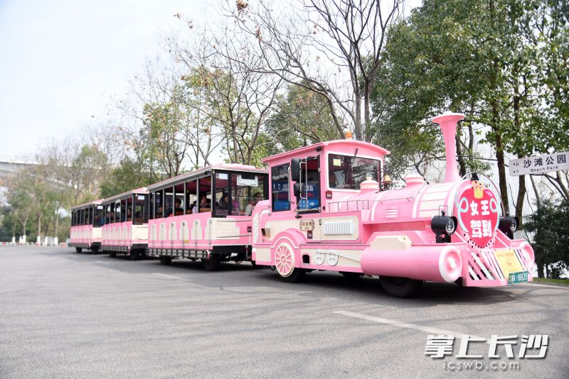 粉色小火车在橘子洲景区行驶，带游客们欣赏美好春光。
