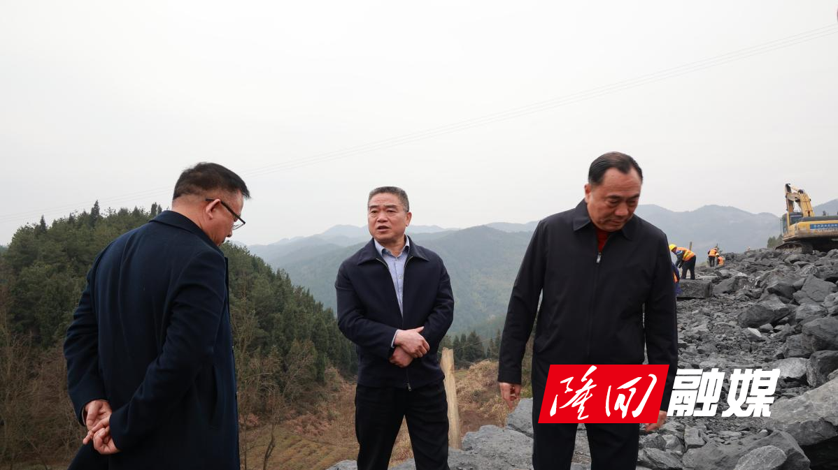 王永红到隆调研“侨心杯”全国少年足球邀请赛筹备工作(图1)