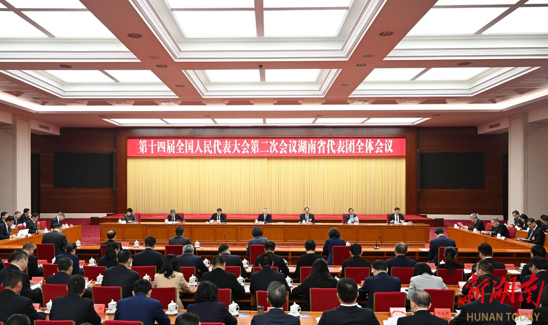 湖南代表团举行分组会议和第六次全体会议