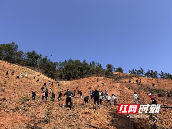 微信图片_20240312115204 (1).jpg