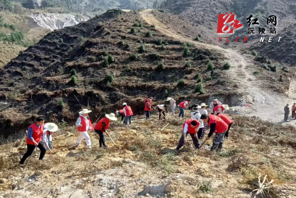 b0f525fdb662ec283447ccf245db7c3.jpg b0f525fdb662ec283447ccf245db7c3.jpg