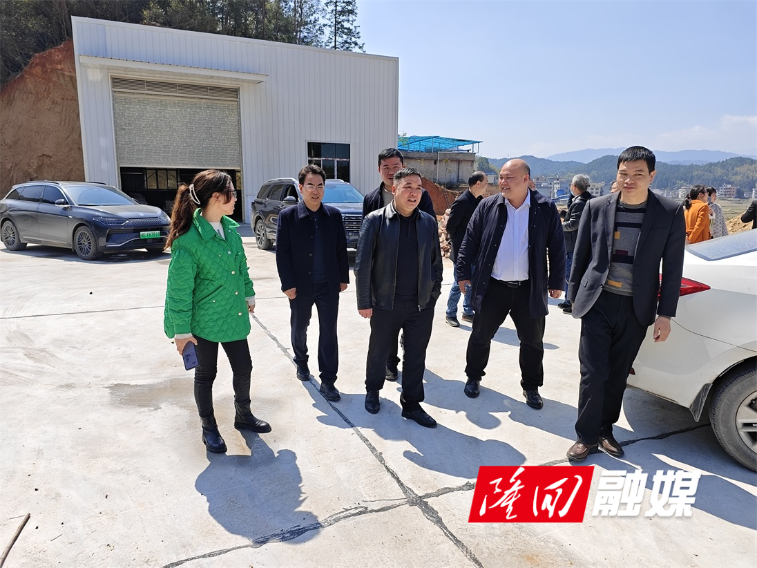 邵阳市库区移民事务中心到羊古坳镇龙家湾村调研工作(图2)