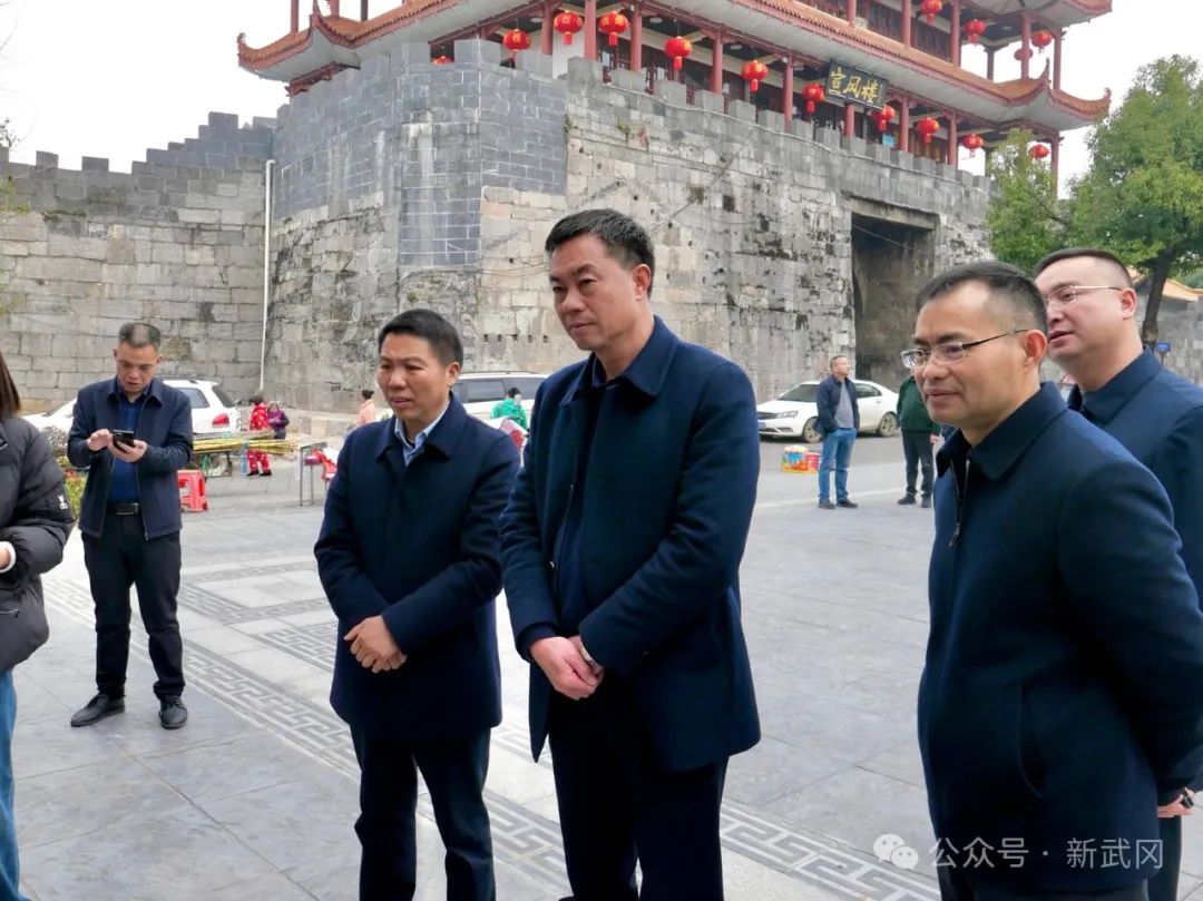 毛学雄一行到武冈市开展立法调研(图1)