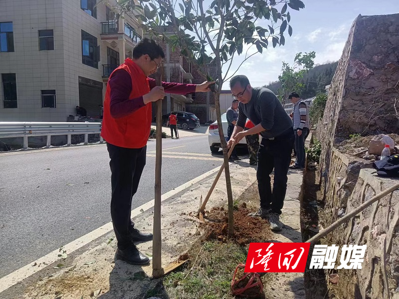 西洋江镇开展2024年全民义务植树活动(图1)