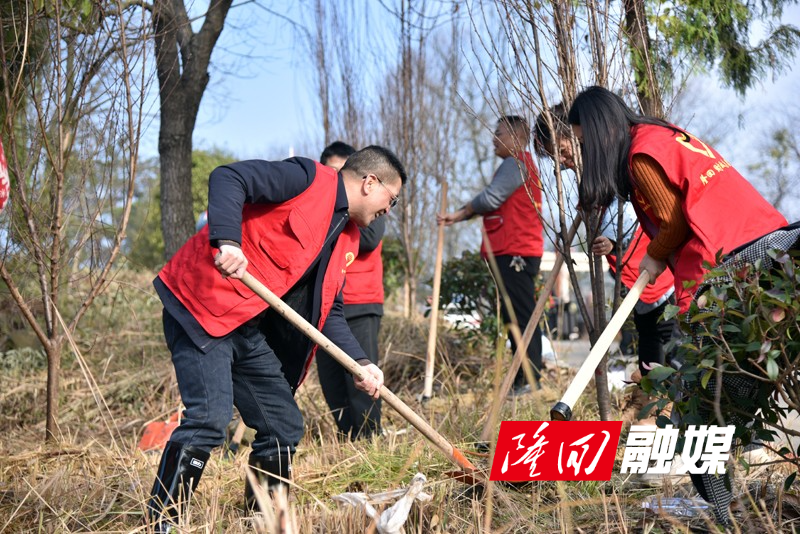 隆回县财政局：组织志愿者参加植树活动(图2)