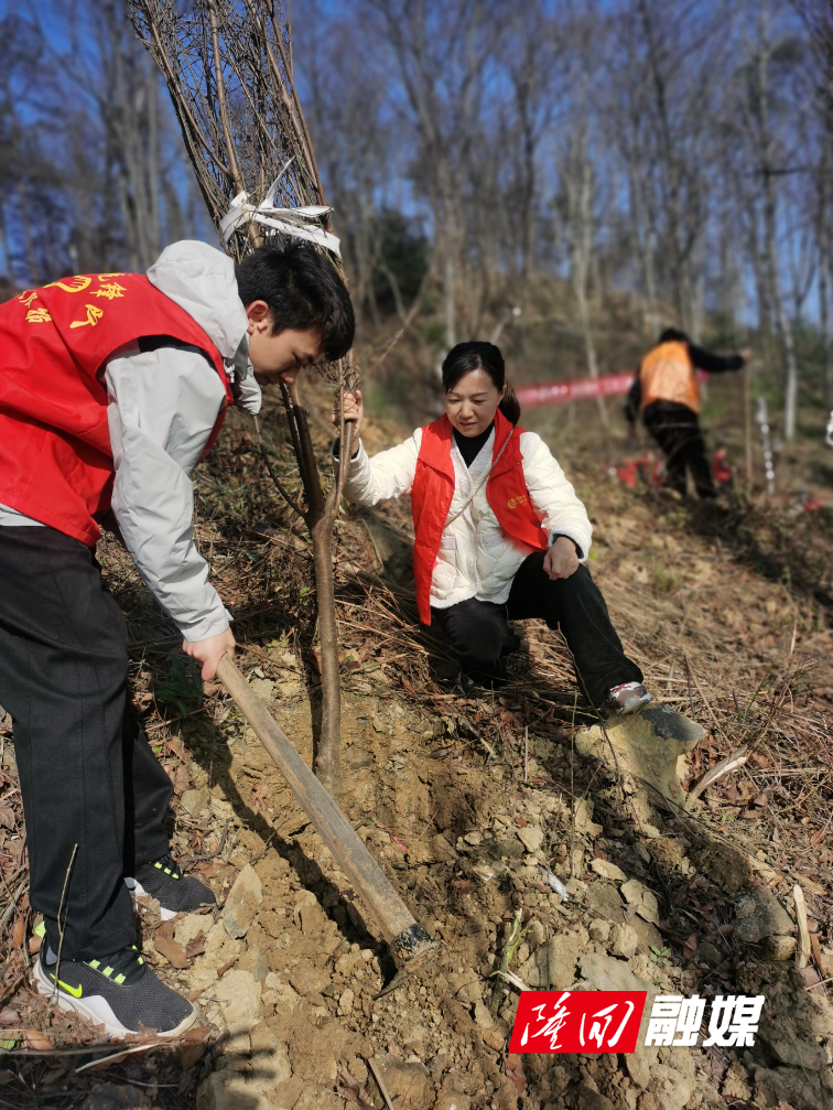 湖南移动隆回分公司积极参与义务植树活动(图1)