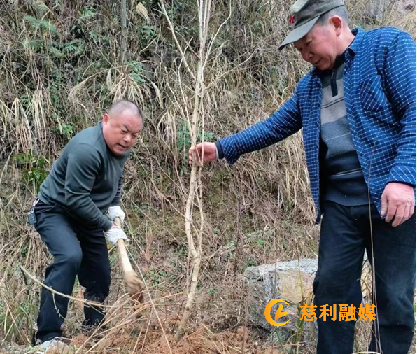 微信截图_20240313162033.png 微信截图_20240313162033.png