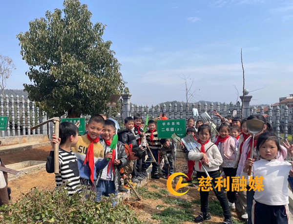 植树节_慈利.jpg
