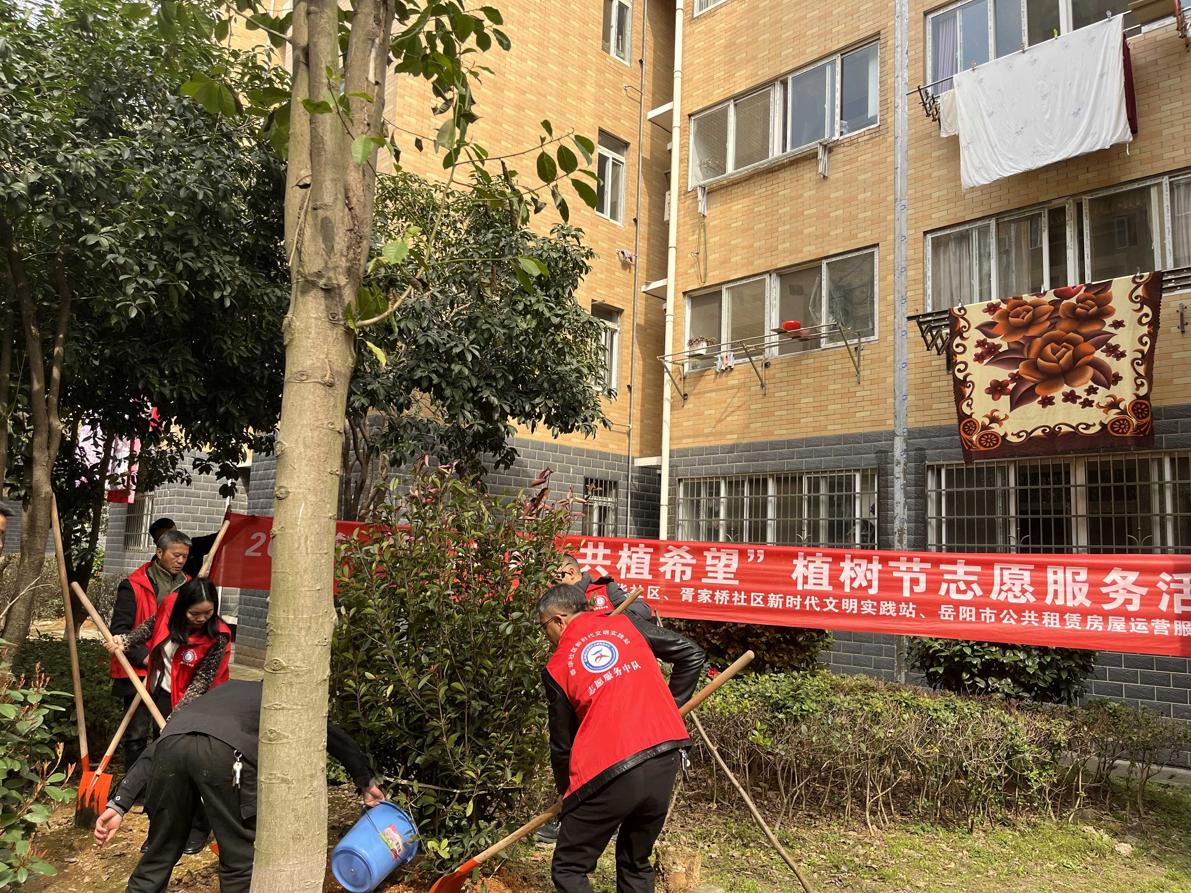 图片2.jpg 图片2.jpg