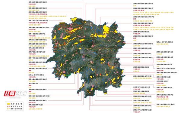 湖南濒危一级物种地图标注 - 0312更新_画板 1.jpg