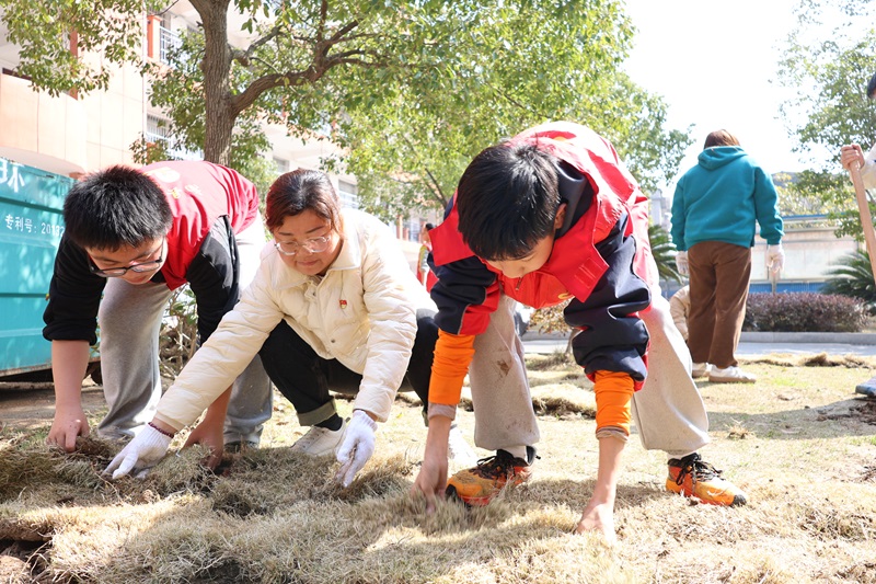 城西植树.jpg