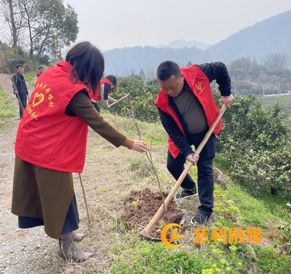 荷峪村植树 (1)_副本_副本.jpg
