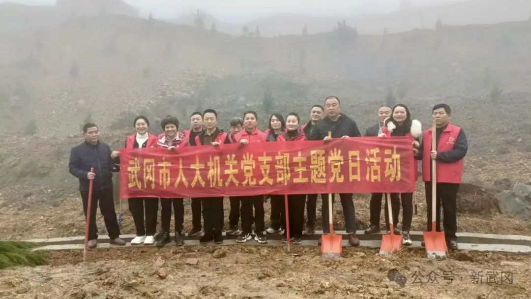 市人大常委会机关开展义务植树活动(图1)