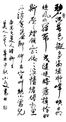 图片18.png