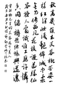 图片16.png
