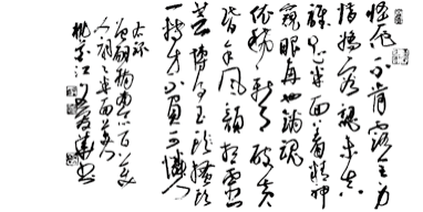 图片13.png