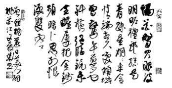 图片15.png