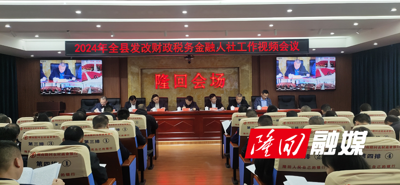 隆回召开发改财政税务金融人社工作视频会议(图1)