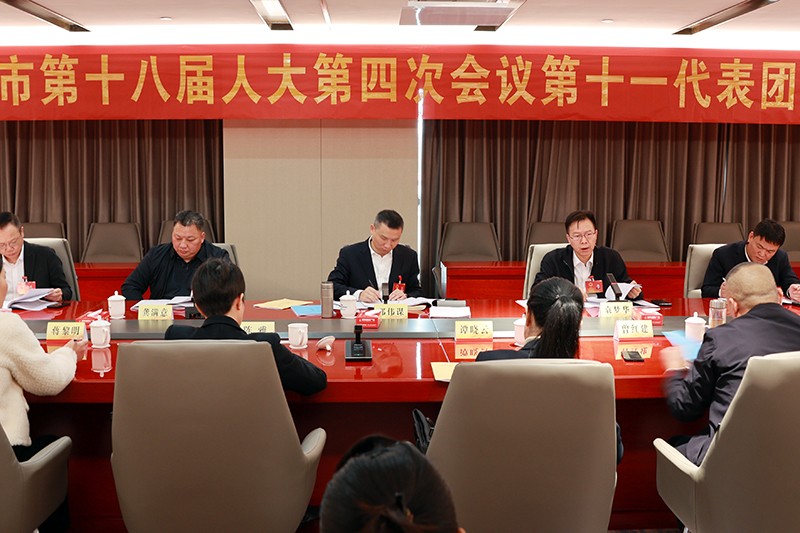邓伟谋参加涟源市第十八届人民代表大会第四次会议第十一代表团讨论