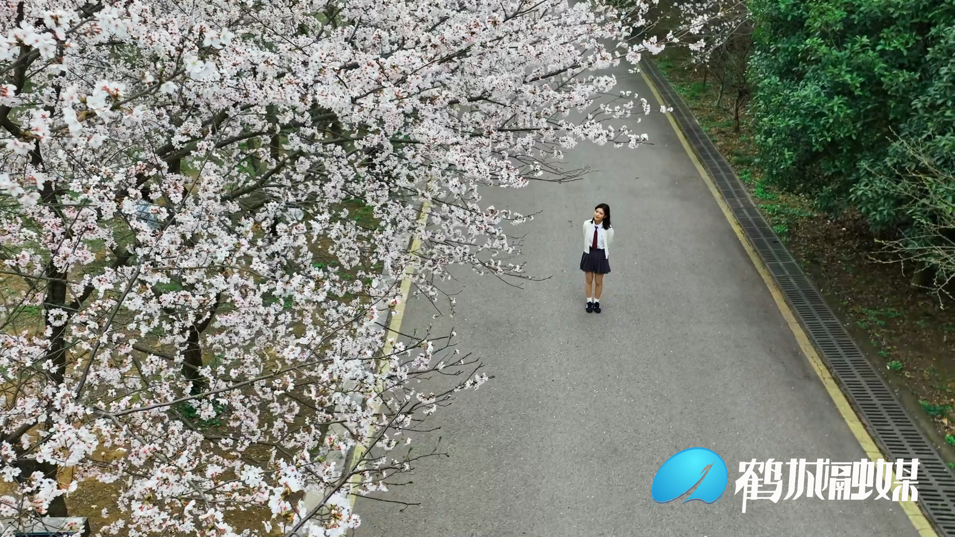 怀化鹤城区：樱花盛放似“白色海洋” “满园春色”引游人（半成品）.mp4_20240322_161100.936.png