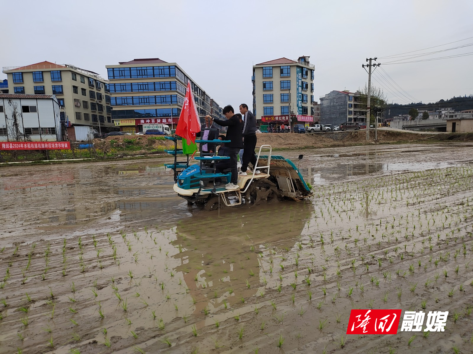 隆回县：开展机插机抛示范演示 促进水稻生产全程机械化