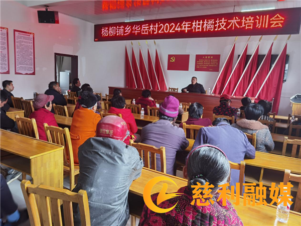图片1_副本.png