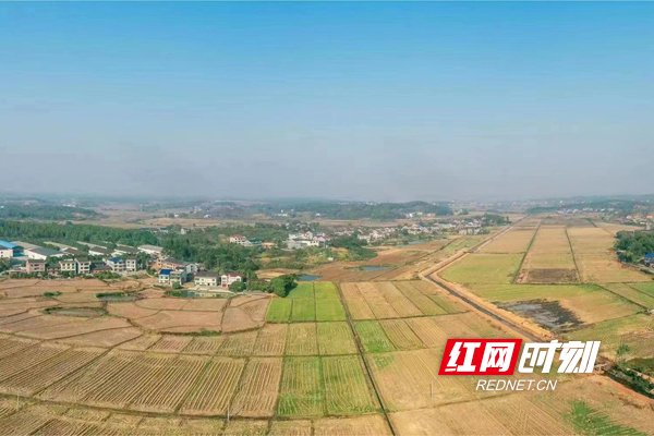 农发行湖南省分行超400亿贷款支持春耕备耕