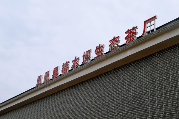 图片6.jpg