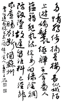 图片7.png
