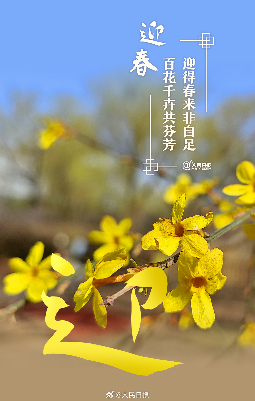 2.jpg?x-oss-process=style/w10
