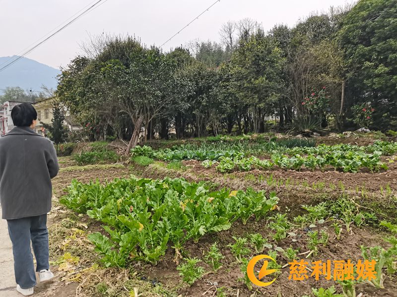 9bb28ca16bdb72b2f04e6da984a9edb.jpg 9bb28ca16bdb72b2f04e6da984a9edb.jpg