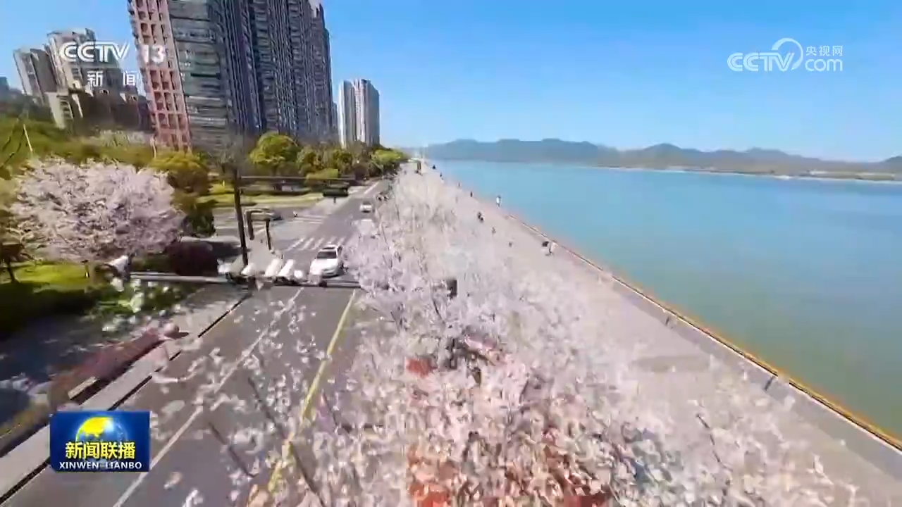 烂漫春光好 赏花正当时