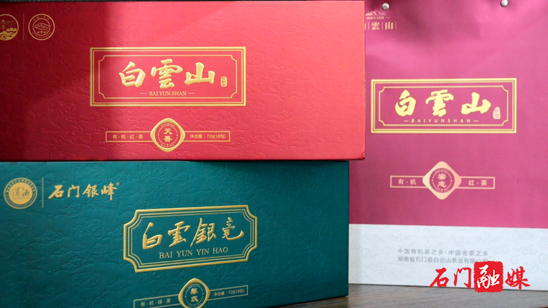 石门县:上春山 采春茶 不负春光茶飘香2.png 石门县:上春山 采春茶 不负春光茶飘香2.png
