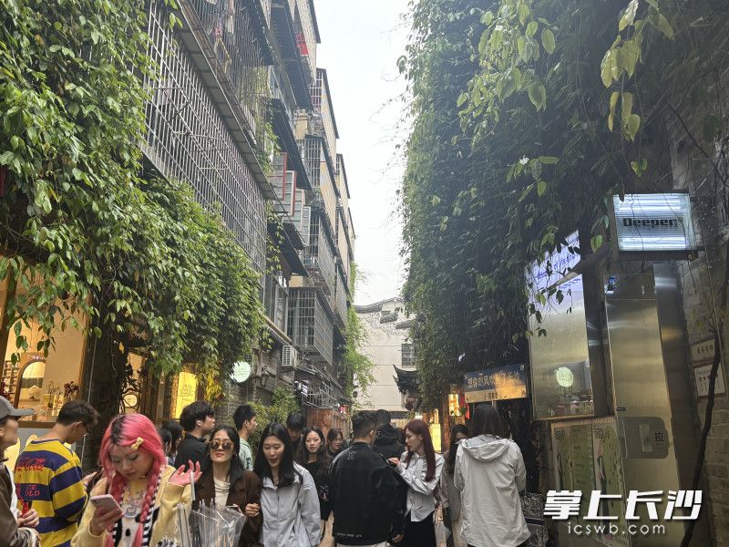 清明小长假，芙蓉区苏家巷游人如织，前来打卡拍照的市民游客络绎不绝。
