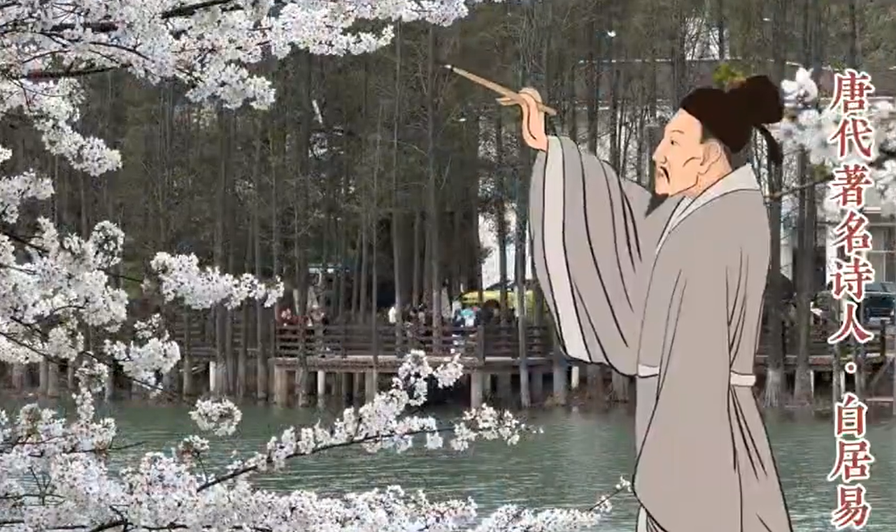 视频丨春日赏花特辑：古代诗人中，谁是爱极了樱花的那位？