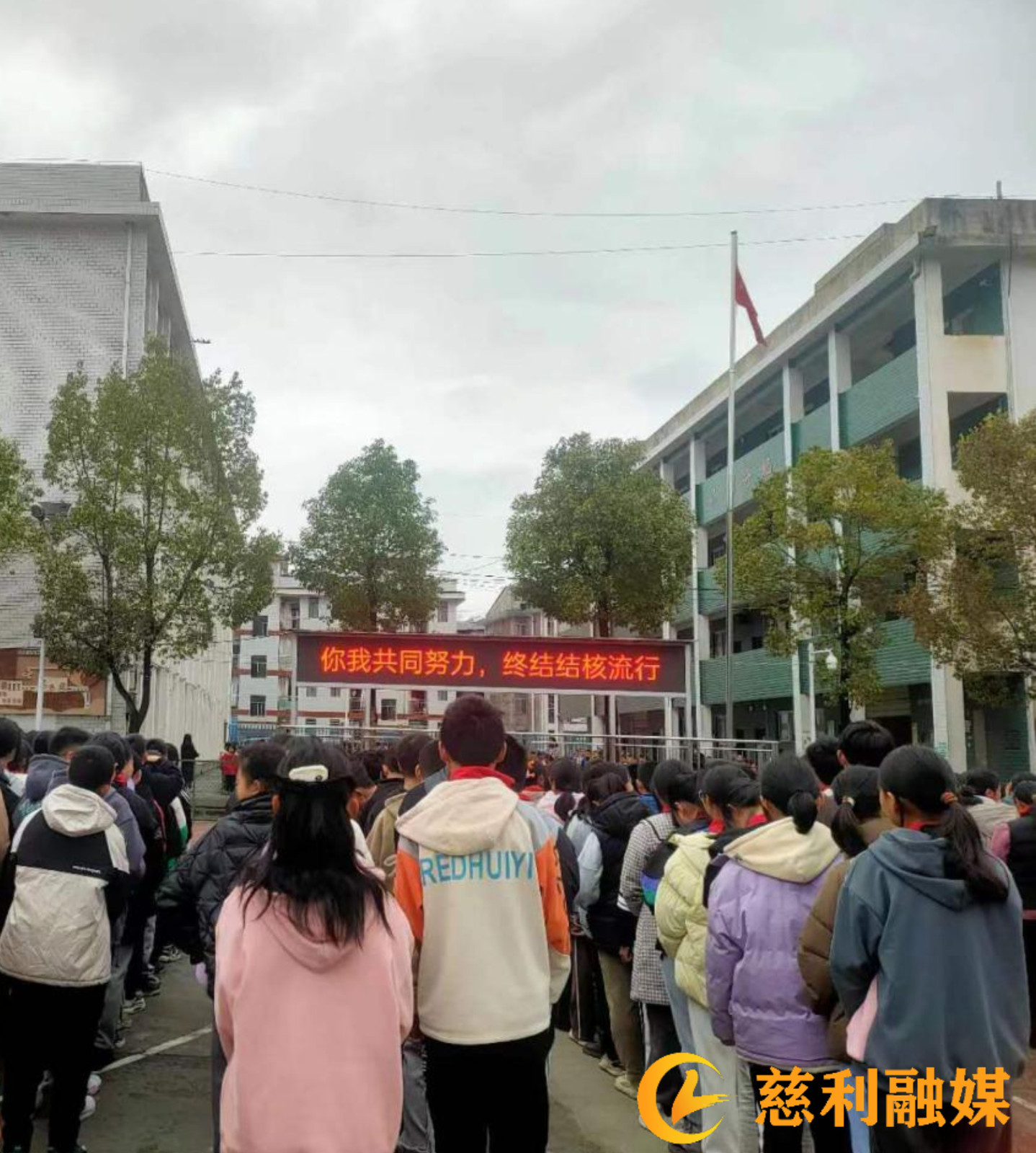 图片2.jpeg