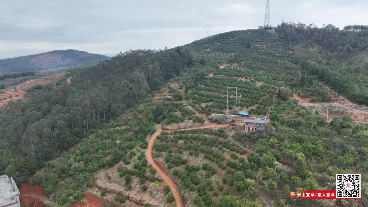 image001.jpg image001.jpg