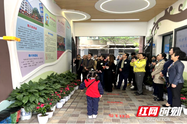 4.9 坡子街街道信息 （人大）推进“幼有所育”向“幼有优育”高质量发展——学前教育考察暨2024年第一季度人大代表活动595.png