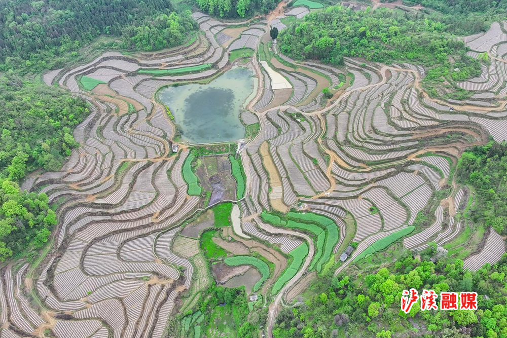 暴风截图202449256608843.jpg 暴风截图202449256608843.jpg